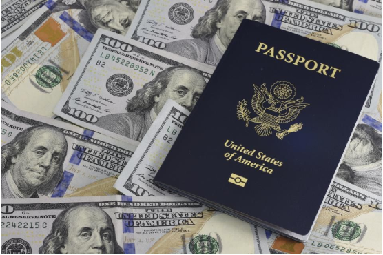 Passport Revoked Due to Tax Debt?